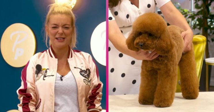 Pooch Perfect on BBC One