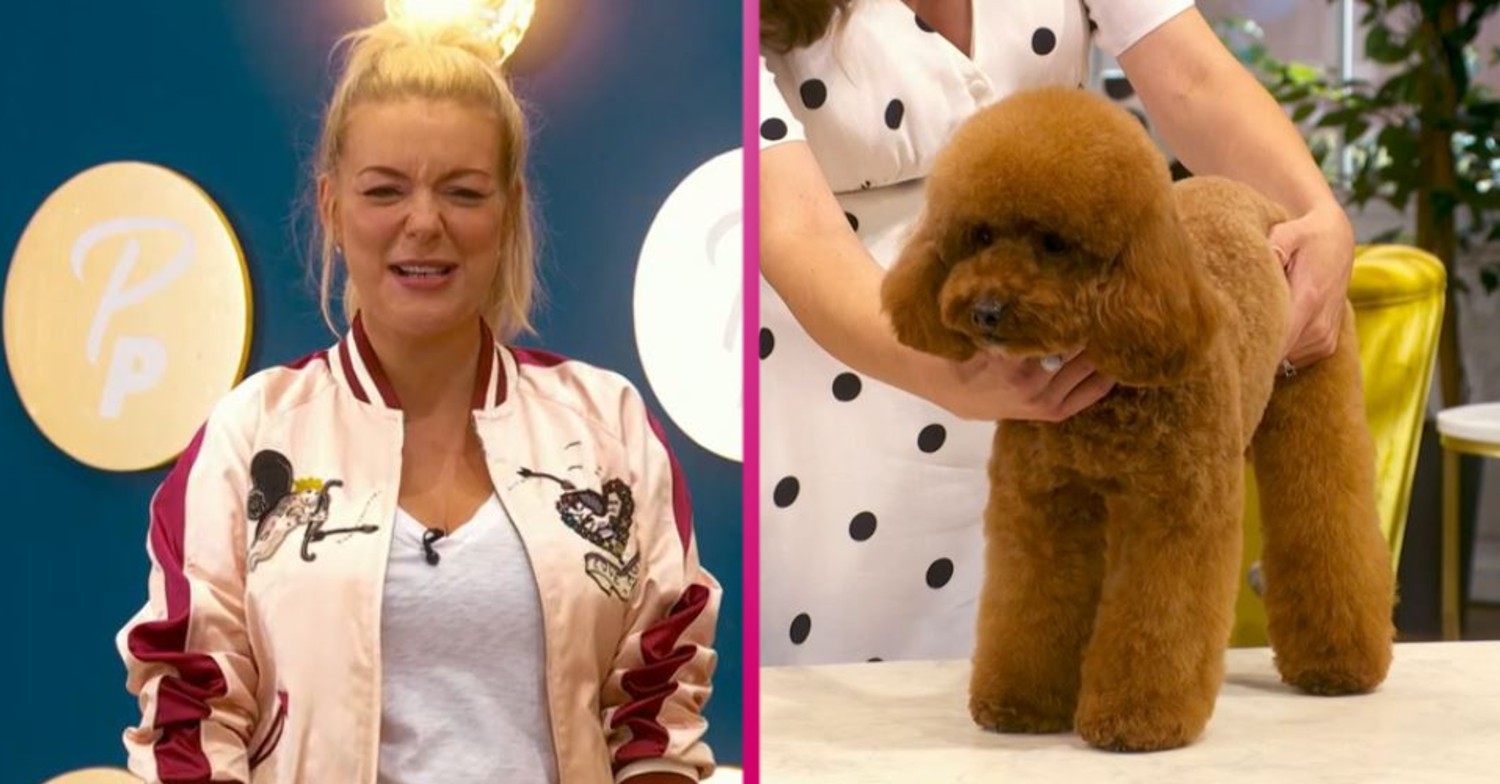 Pooch Perfect on BBC One