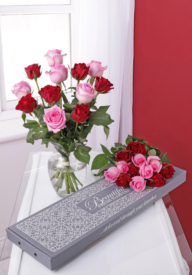 valentines roses