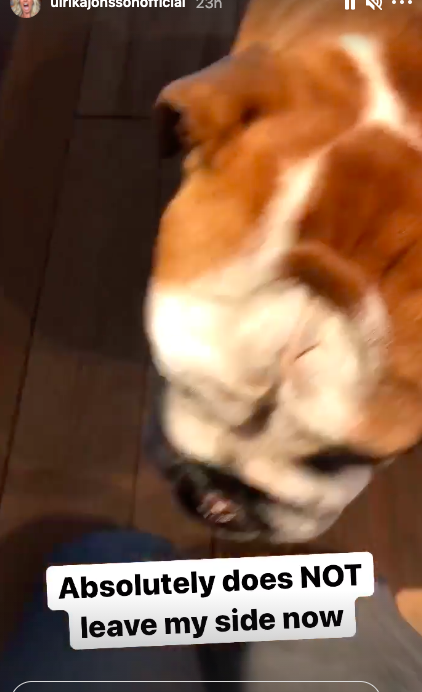 ulrika updates fans on her bulldog