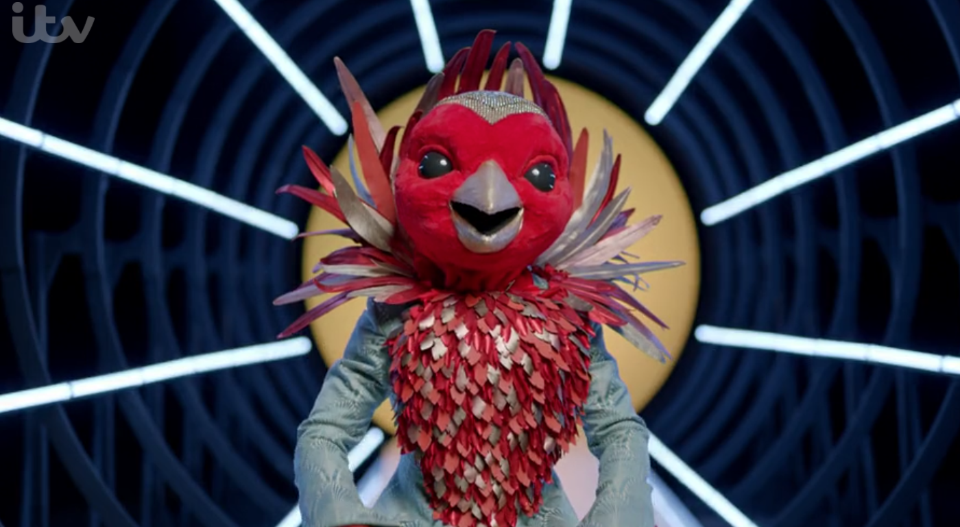 Westlife's Nicky Byrne left a huge hint that he is Robin on The Masked Singer