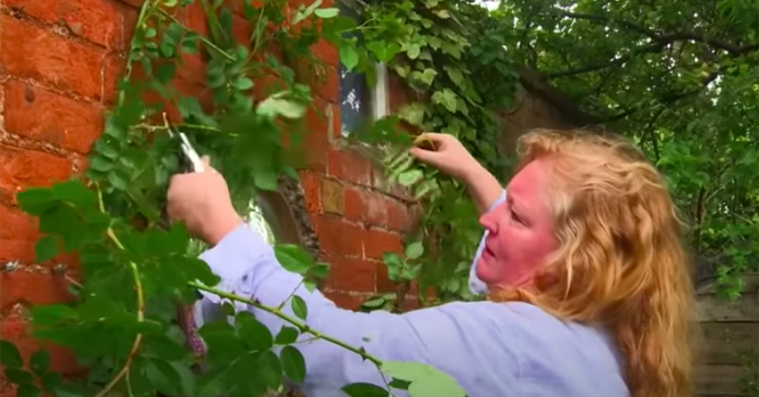 charlie dimmock on garden rescue