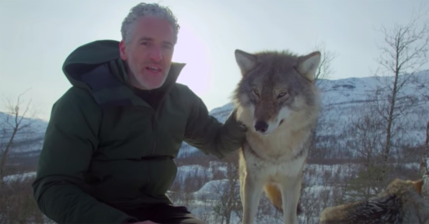 gordon buchanan with a wolf