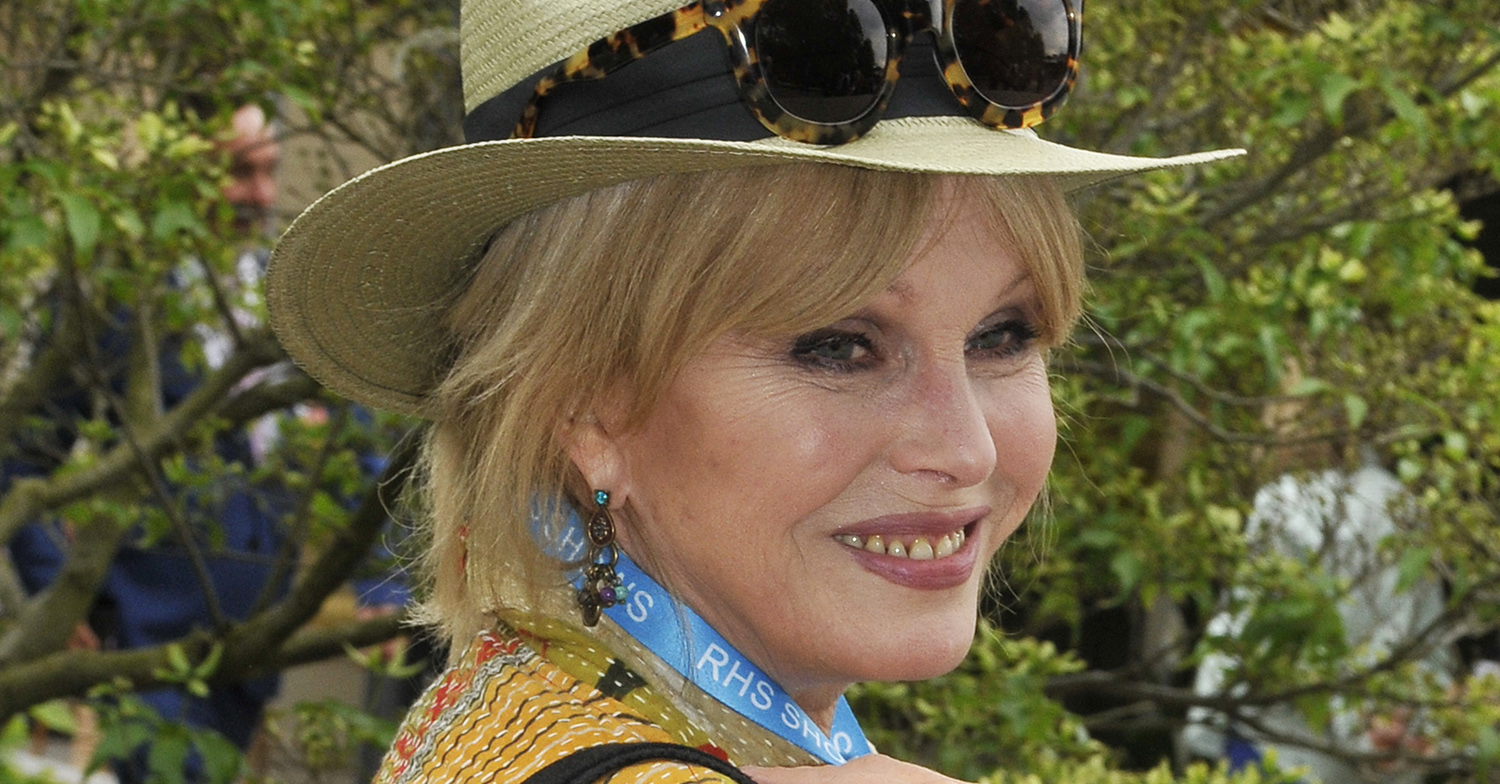 joanna lumley 