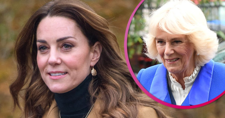 The Royal FAmily feared Kate Middleton would become second Camilla
