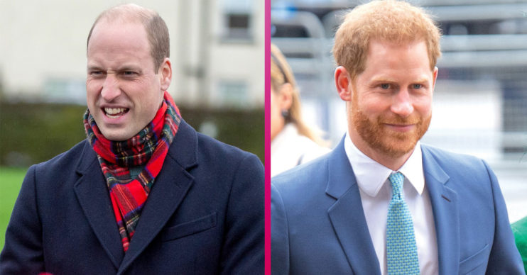 Prince William and brother Harry