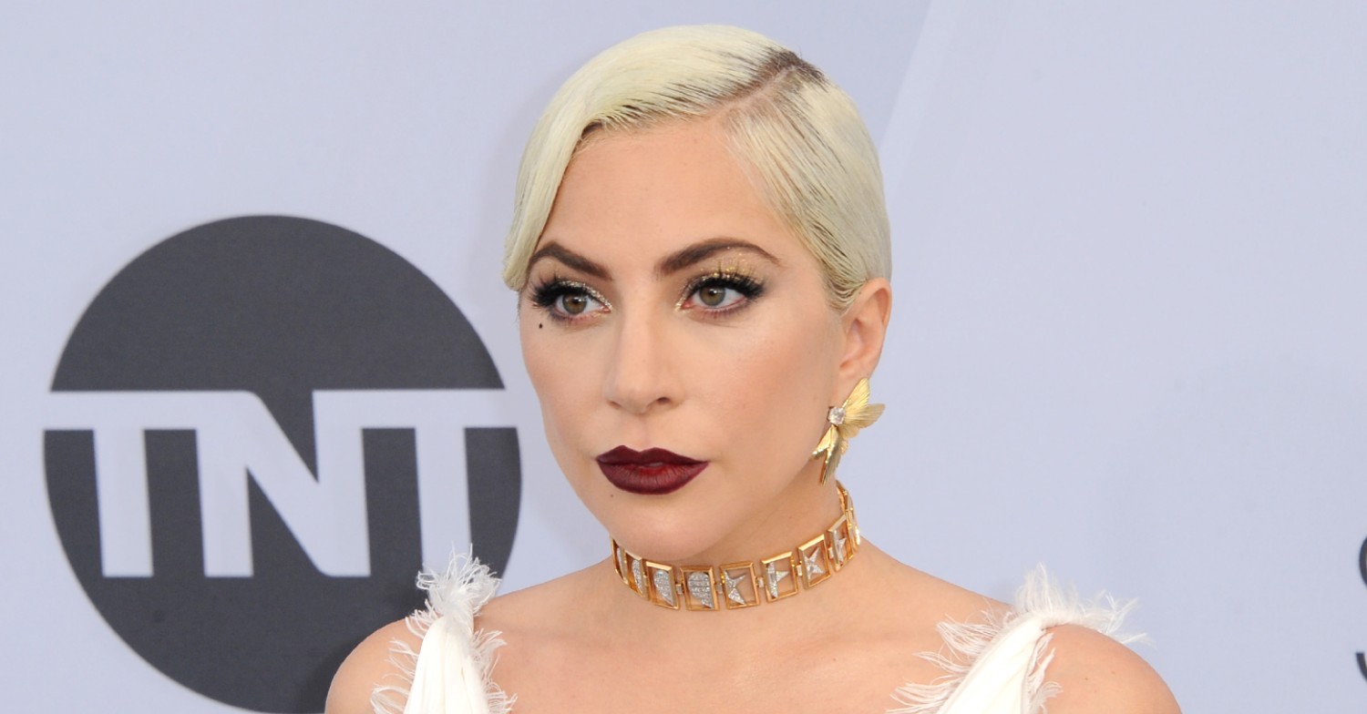 Lady Gaga dogs