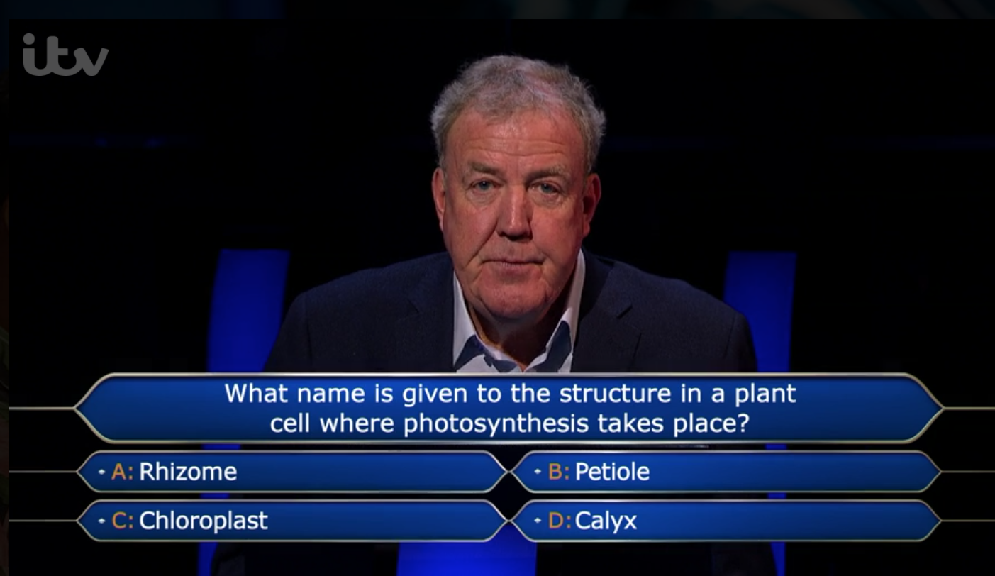 jeremy clarkson, who has a beard, pictured without a beard on his quiz show
