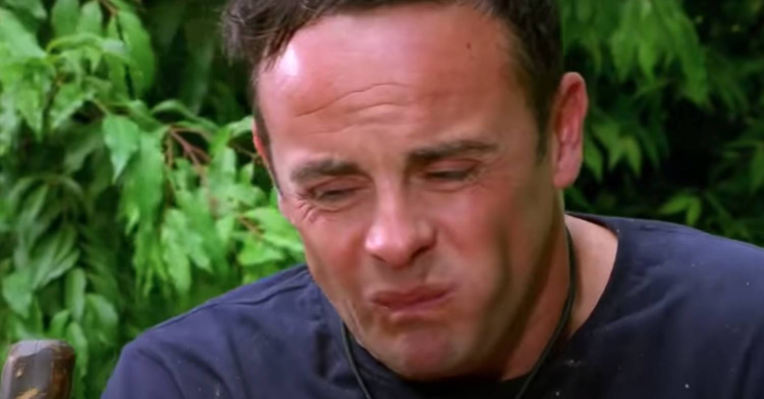 Ant McPartlin took on the Bushtucker Trial