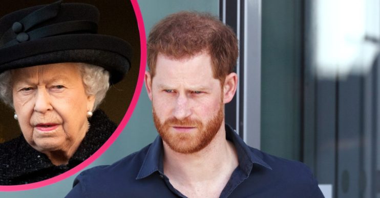 prince harry latest news
