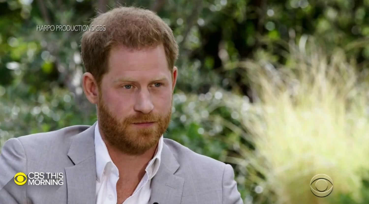 prince harry in the oprah interview