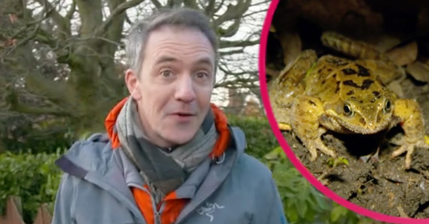 Countryfile