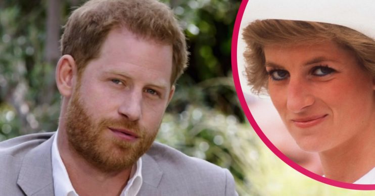 Prince Harry Princess Diana