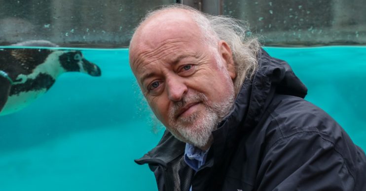 Bill Bailey