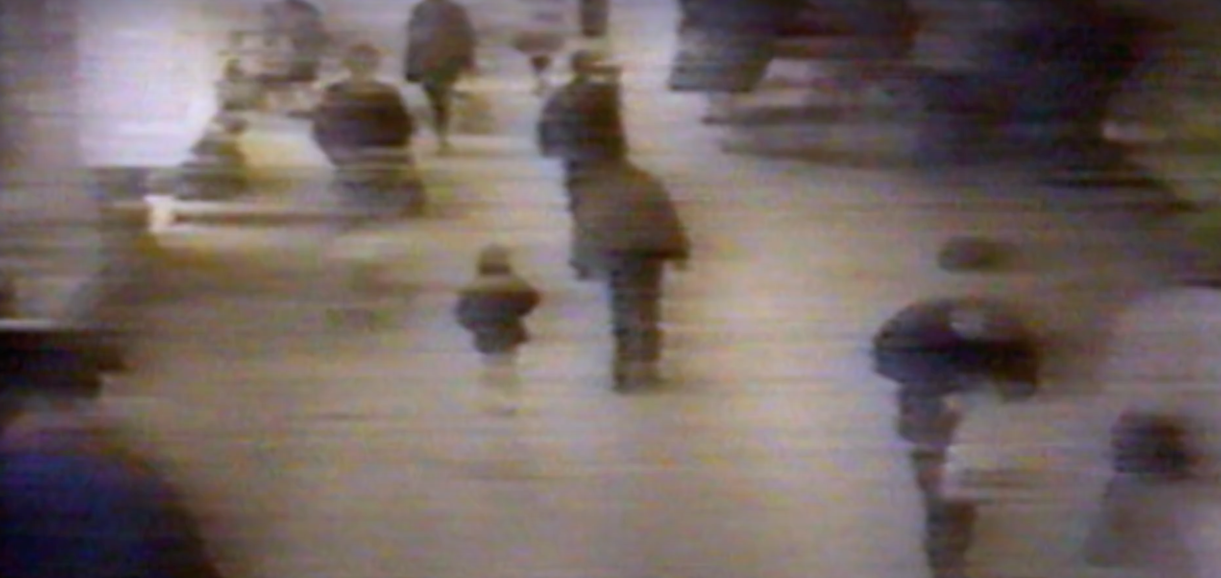 James bulger