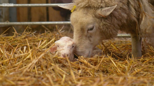 Countryfile