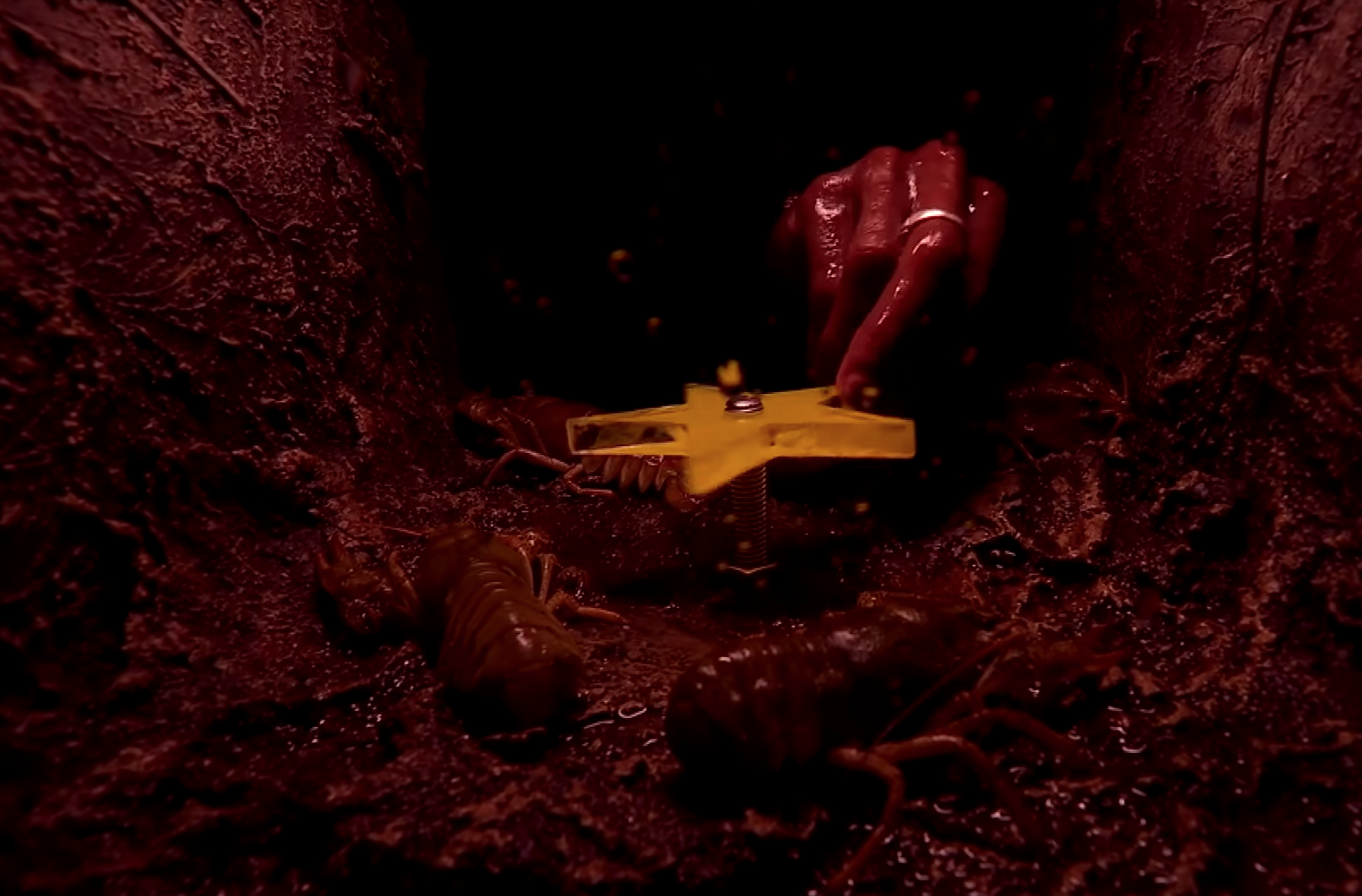 Chris Packham criticises I'm A Celebrity for using alien crayfish on I'm A Celebrity