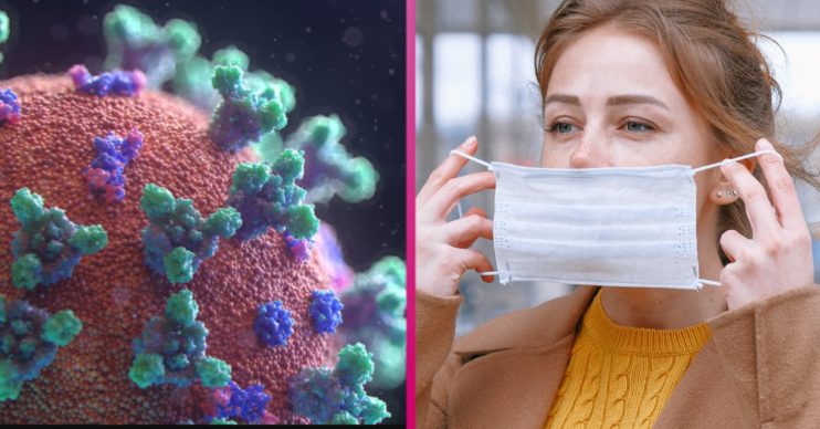 Coronavirus update: "No doubt" about autumn COVID wave
