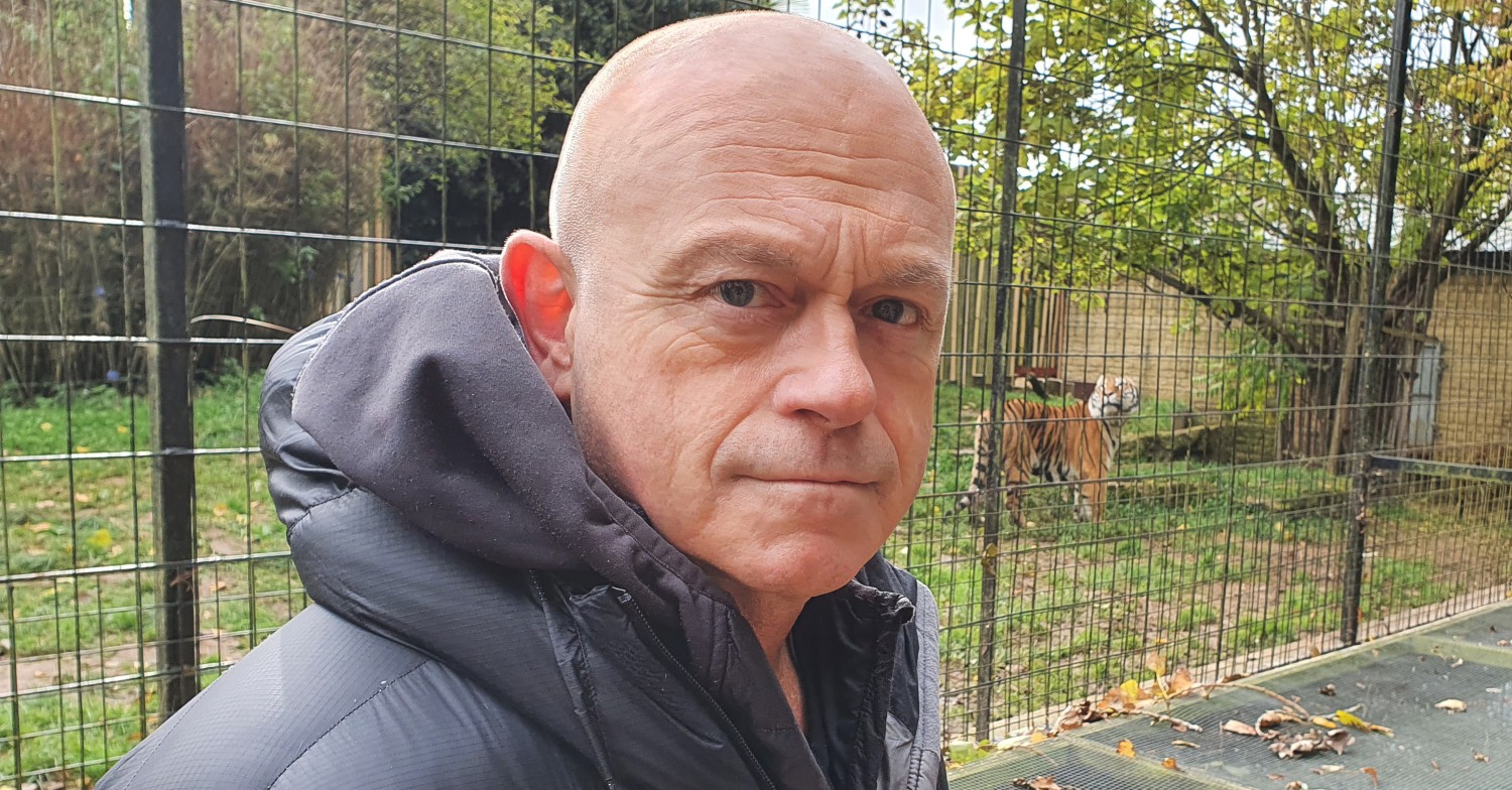 Britain's Tiger Kings - On The Trail With Ross Kemp