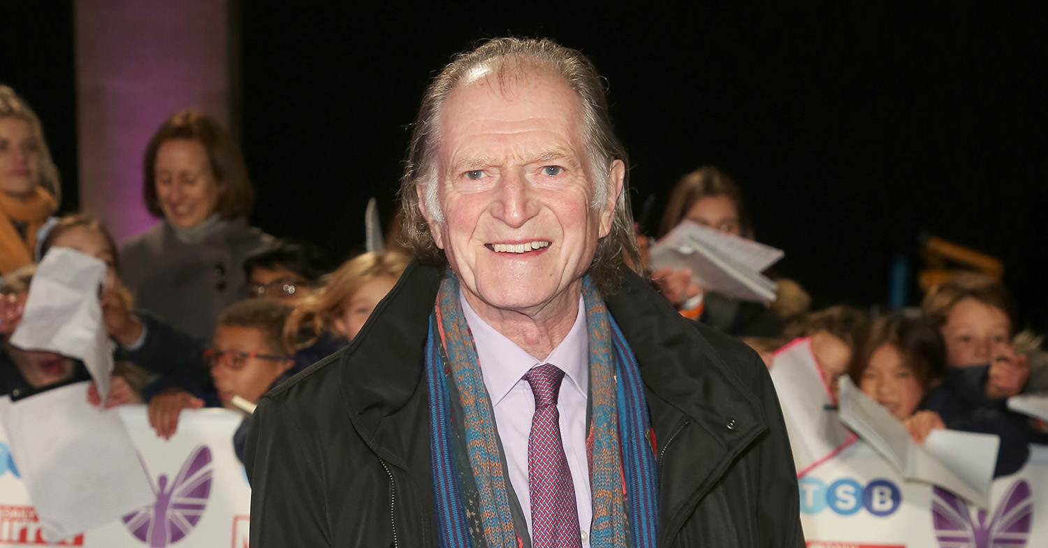 david bradley 2021