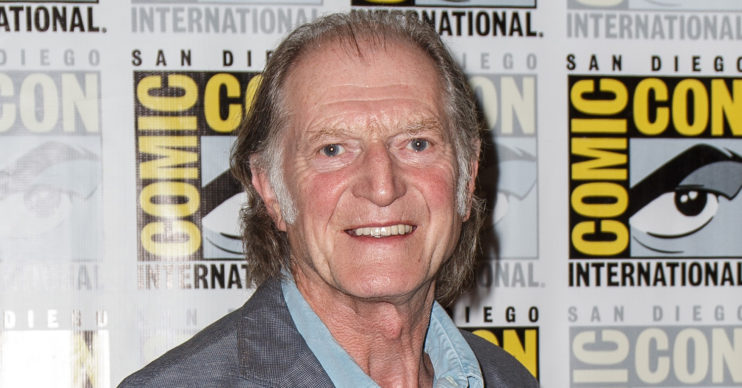 david bradley for the love of britain