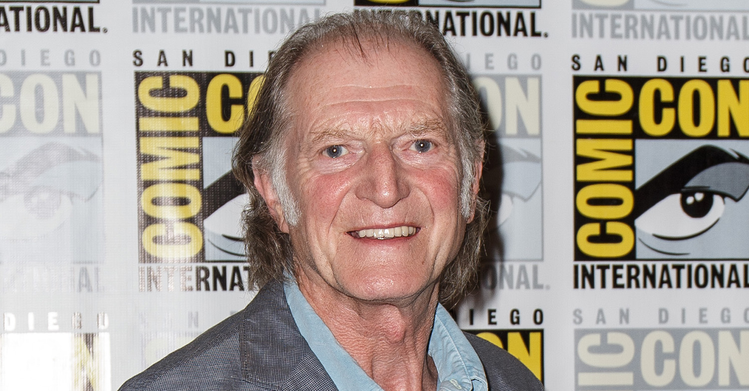 david bradley for the love of britain