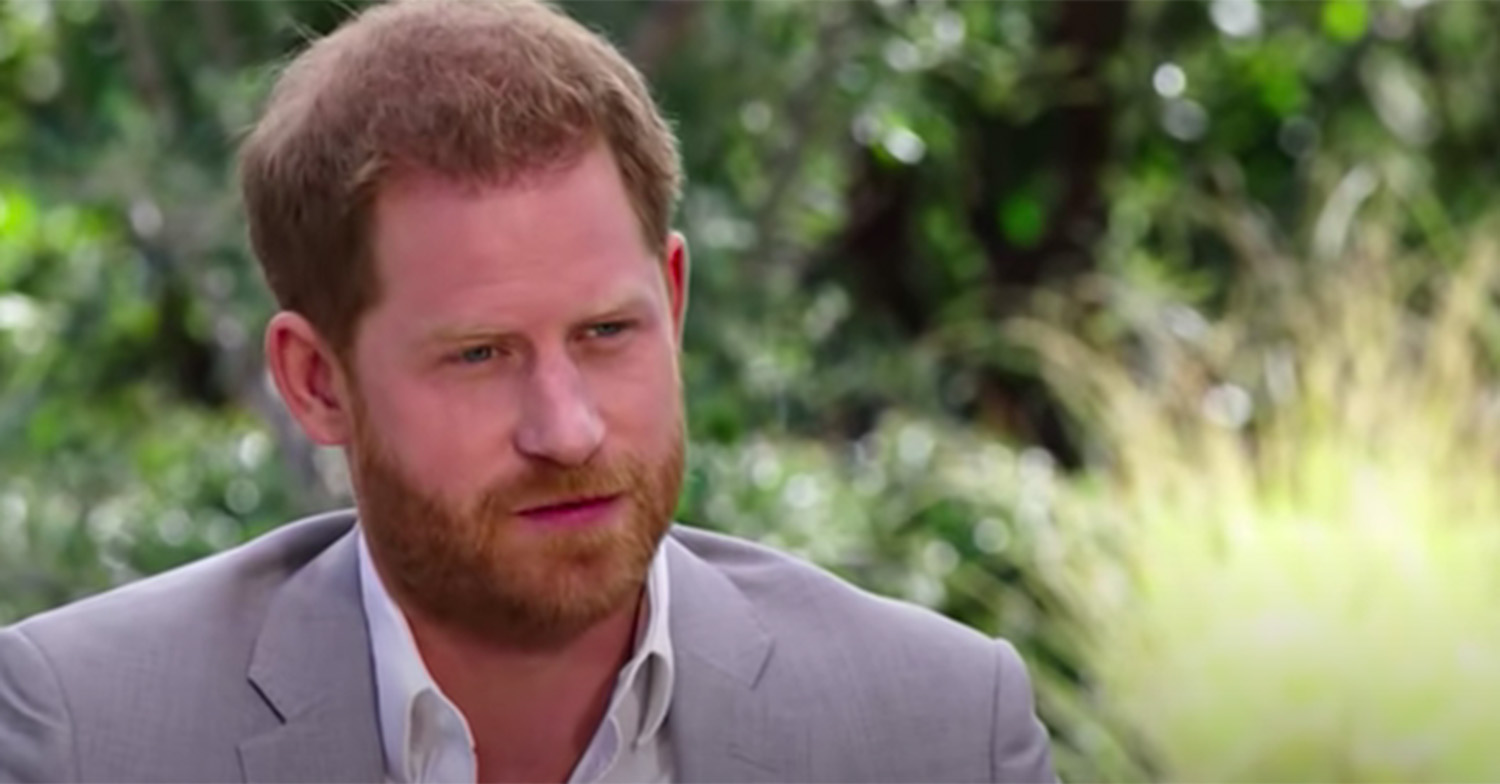 prince harry on oprah