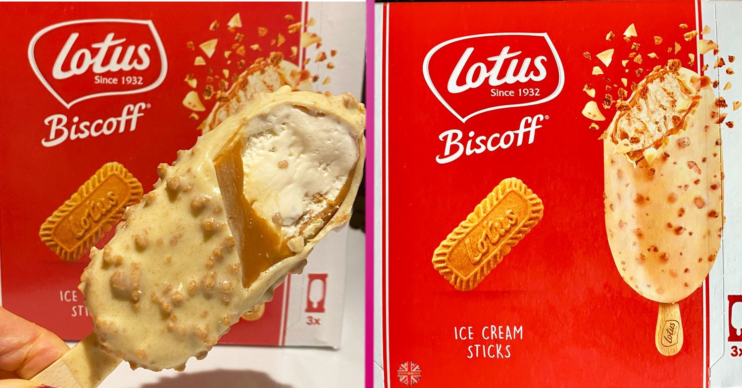 biscoff ice cream