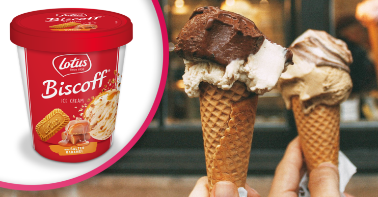 biscoff ice cream