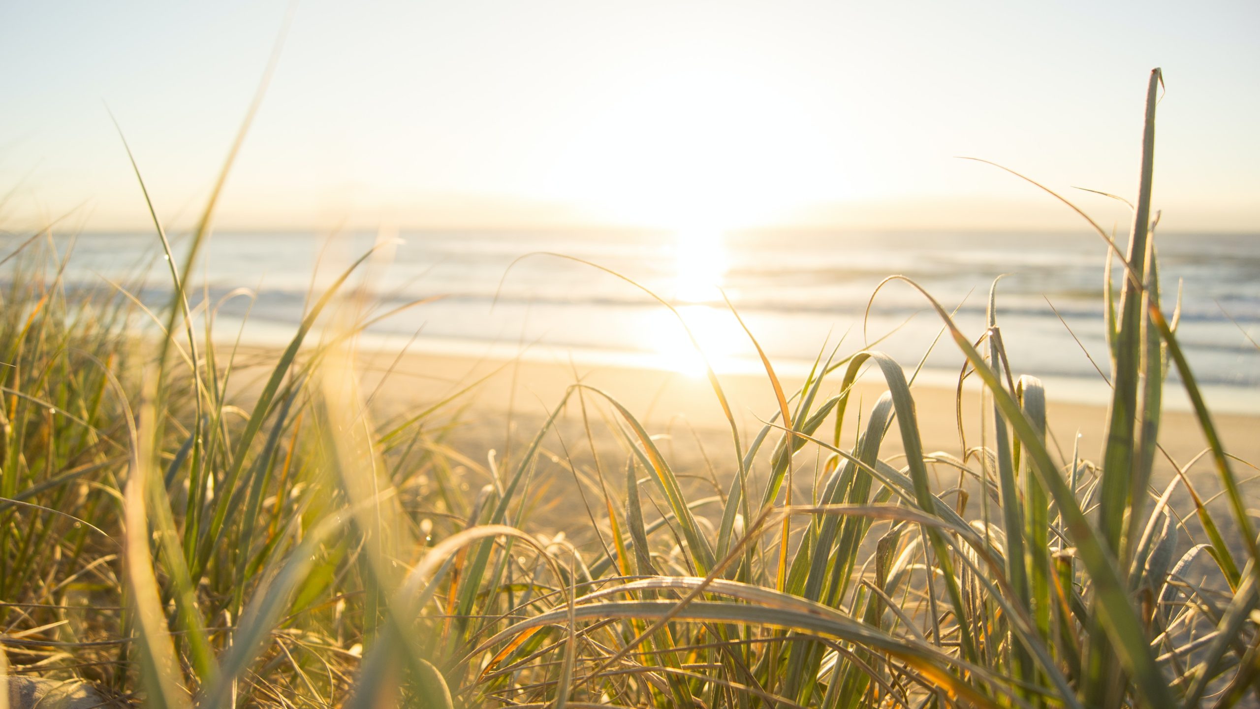 sunny beach in summer