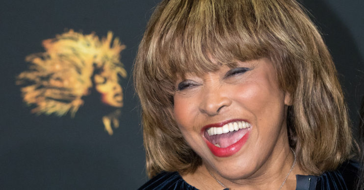 tina turner documentary