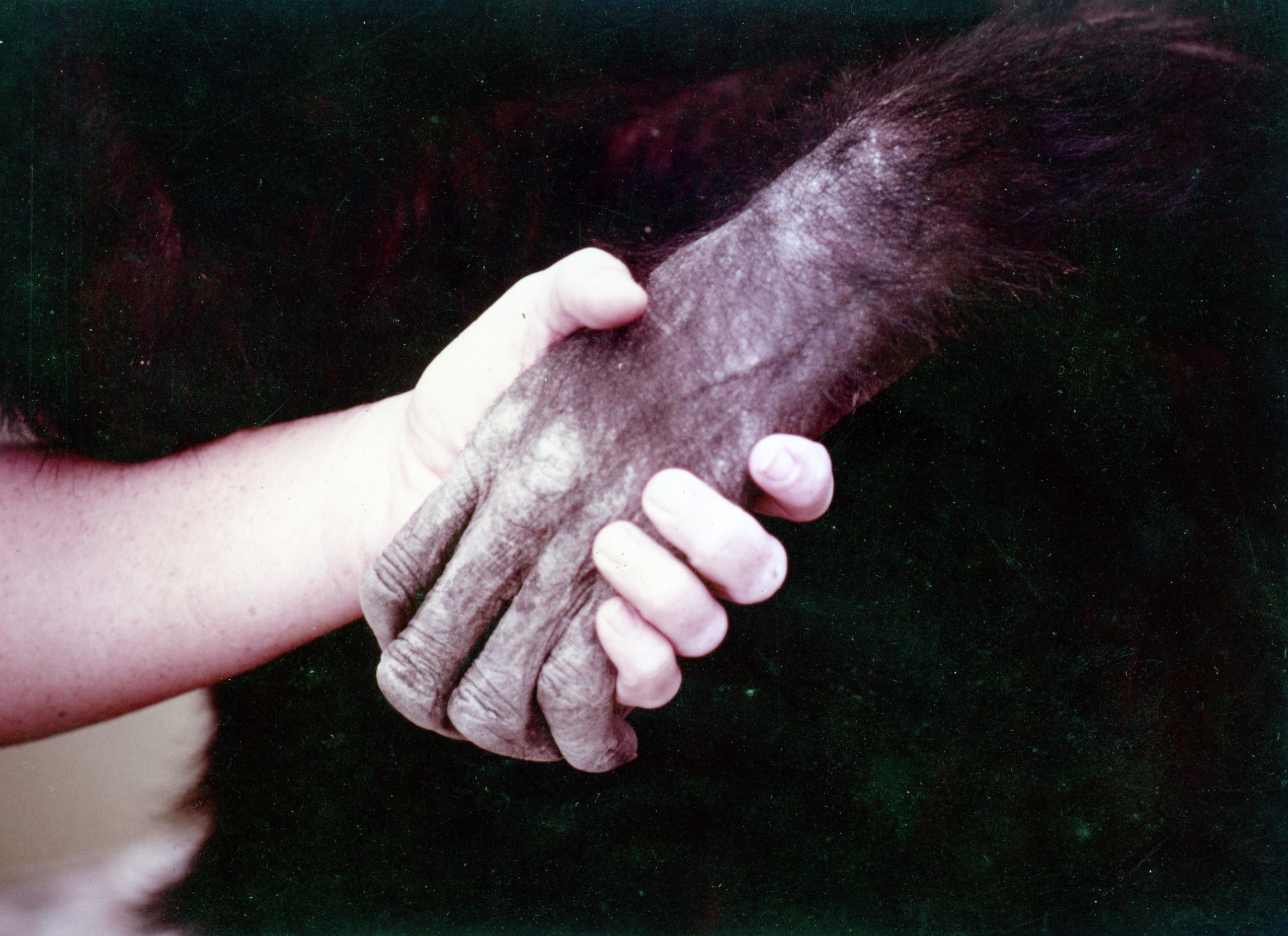 Janis lived in the wild for six years to take care of Lucy (Credit: Channel 4)