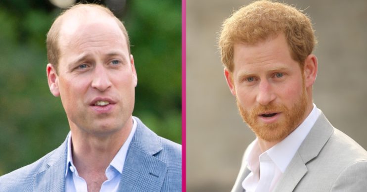 Prince William and Prince Harry