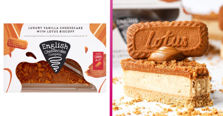 lotus biscoff cheesecake