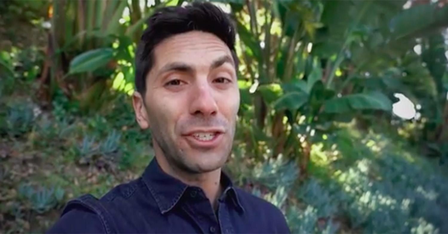nev catfish
