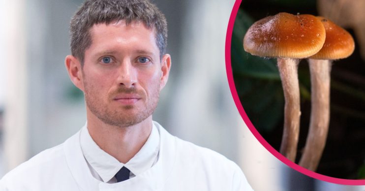 What is psilocybin?