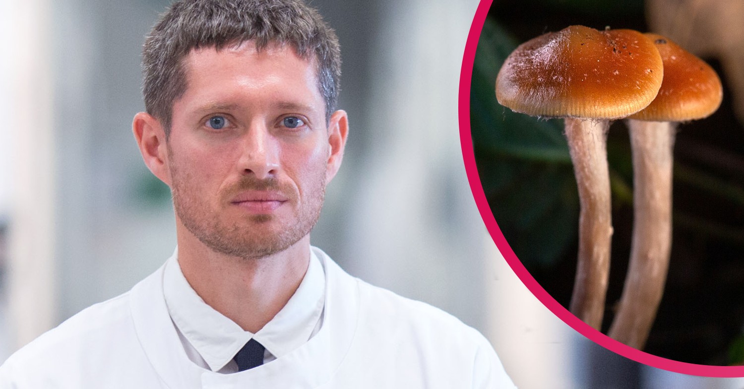 What is psilocybin?