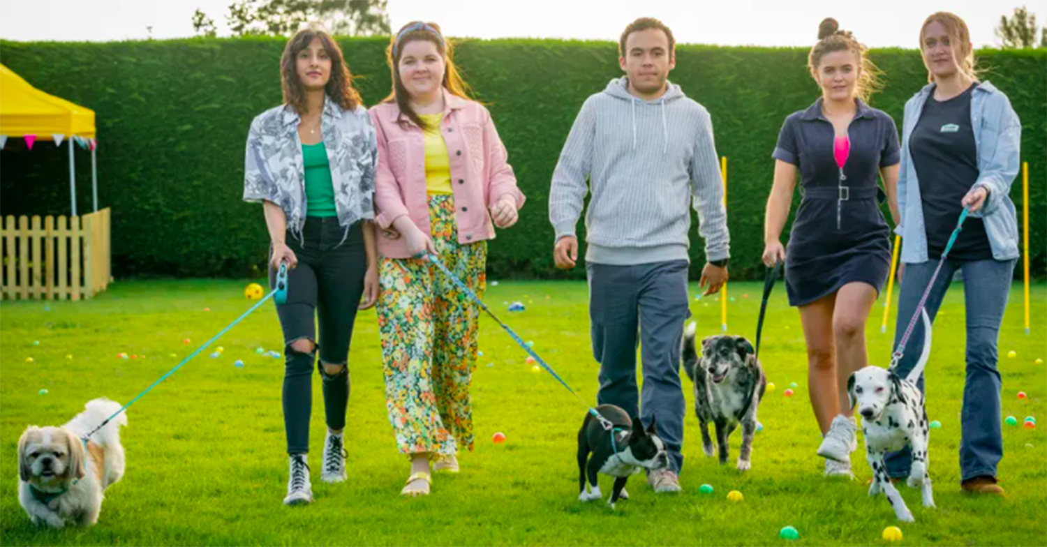 the syndicate dogs