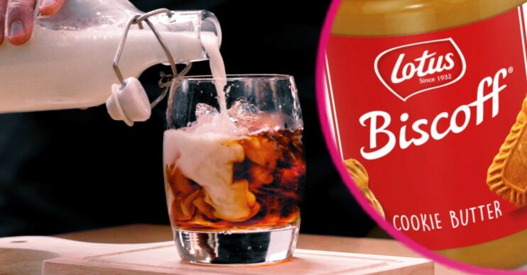 Iced Biscoff lattes TikTok