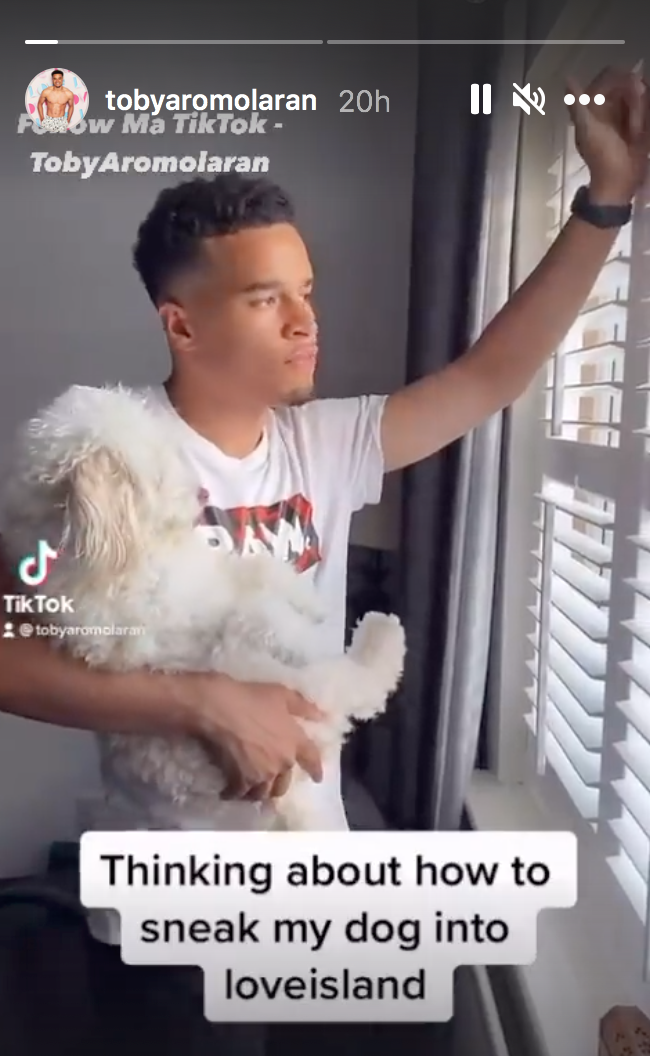 Love island Toby