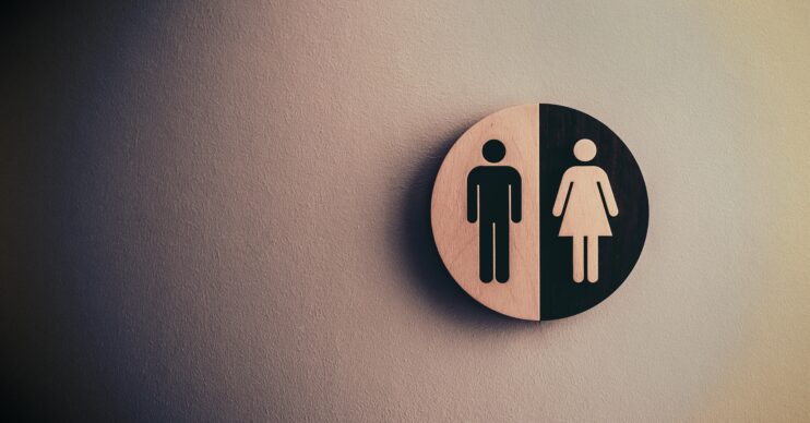 Gender neutral toilets for transgender schoolkids have been suggested