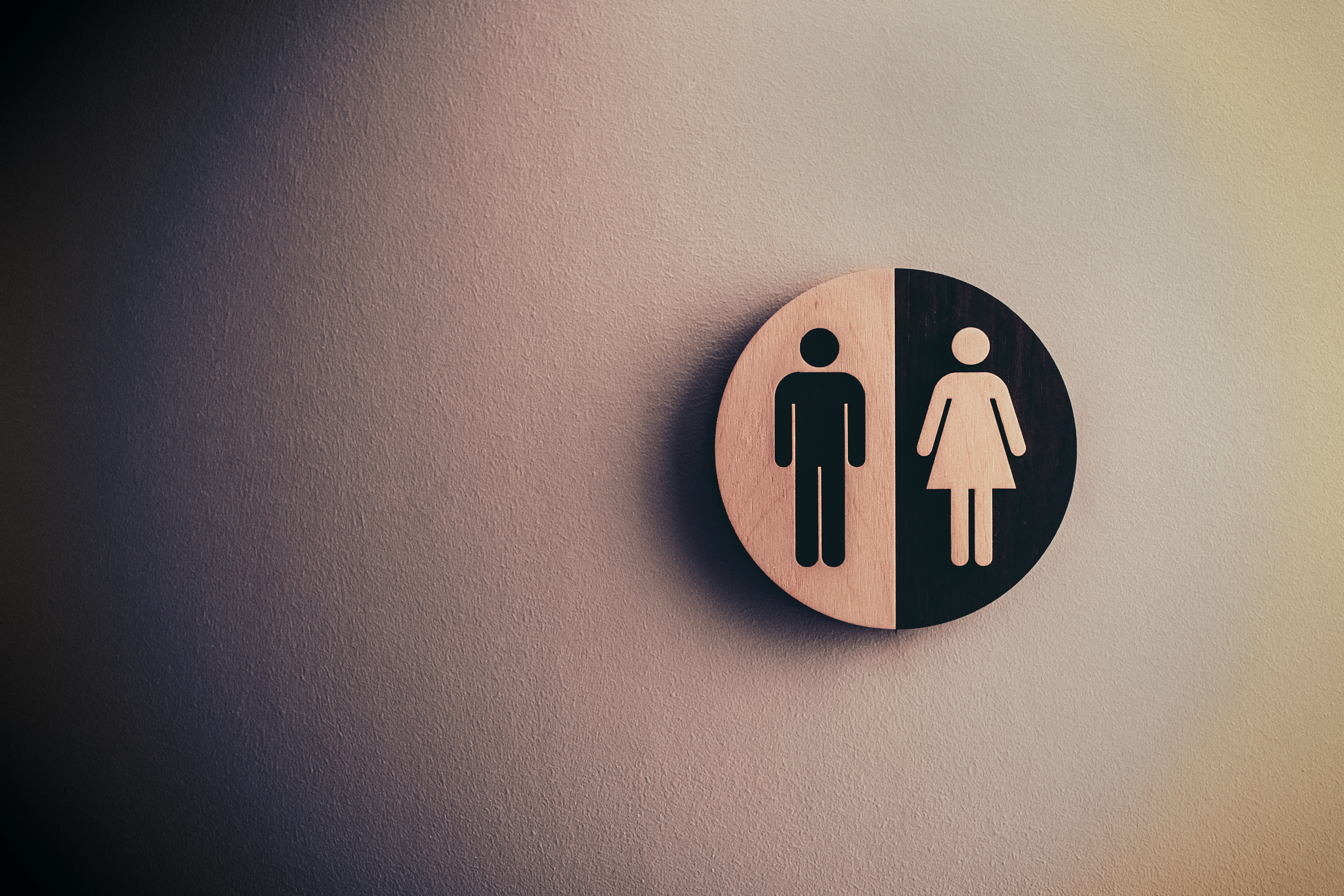Gender neutral toilets for transgender schoolkids have been suggested