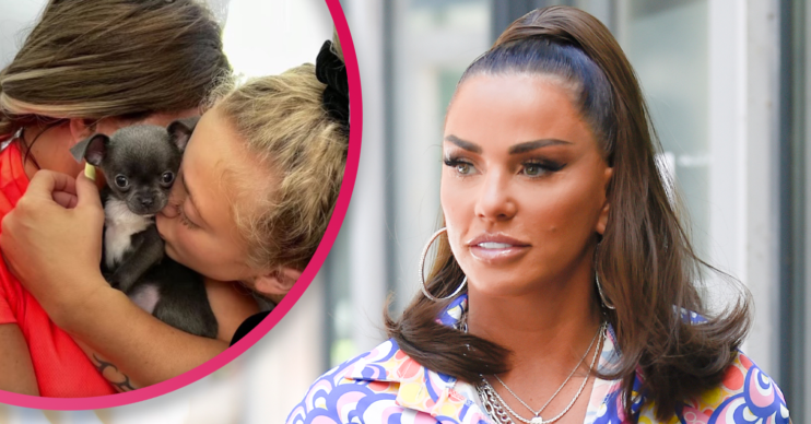 Katie Price Instagram
