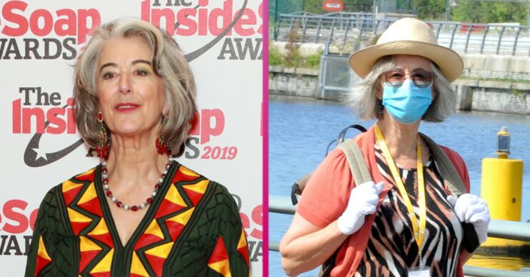 MAUREEN LIPMAN