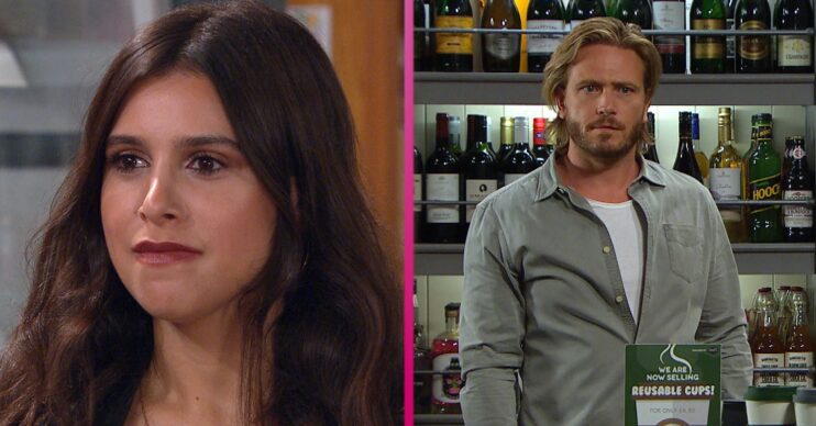 Emmerdale spoilers Meena and David