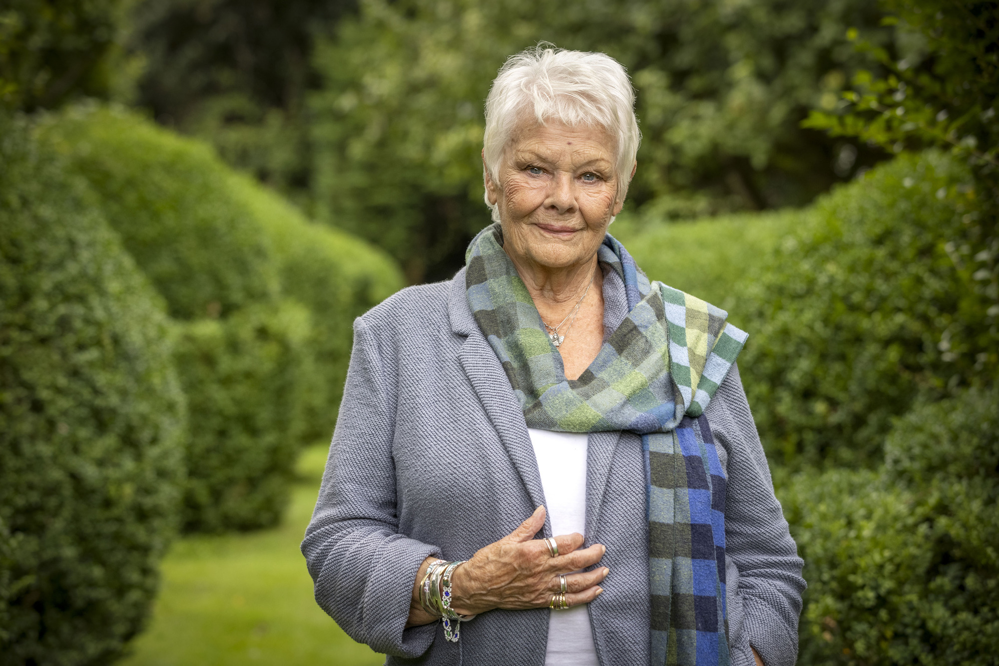 The new series of Who Do you Think You Are? - meet the new participants