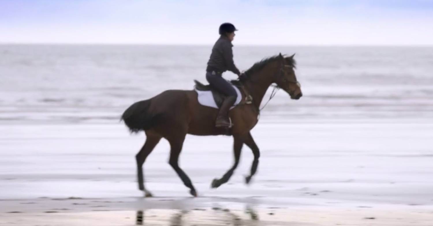 Great British Bake Off star Freya Cox has been a competitive showjumper since she was 14