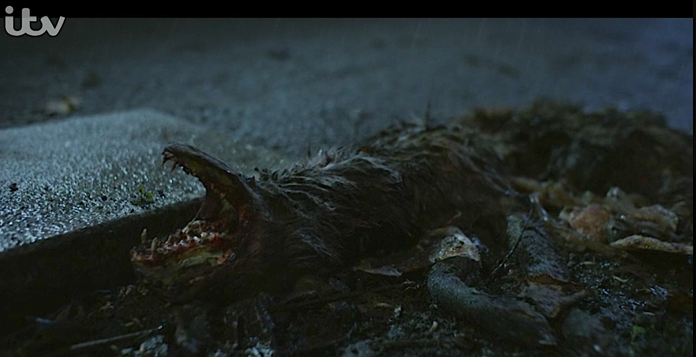Angela Black viewers on ITV were baffled by the creature at the side of the road