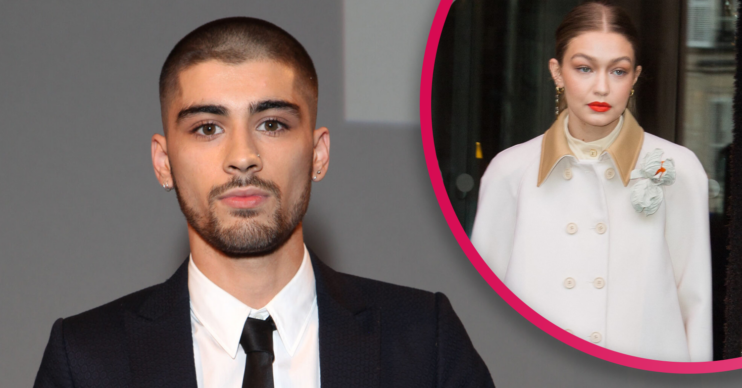 zyan malik and gigi hadid
