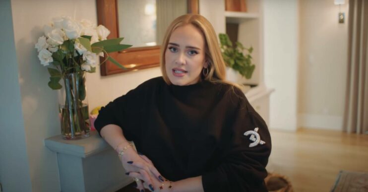 Singer Adele performed for an audience of famous faces in London on Saturday night